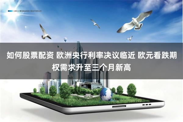 如何股票配资 欧洲央行利率决议临近 欧元看跌期权需求升至三个月新高